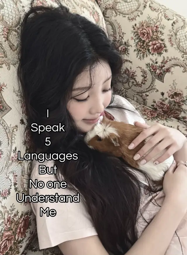 @๐ถ๐
.๐ซ๐๐
๐ โเป๊ฑ โงโห