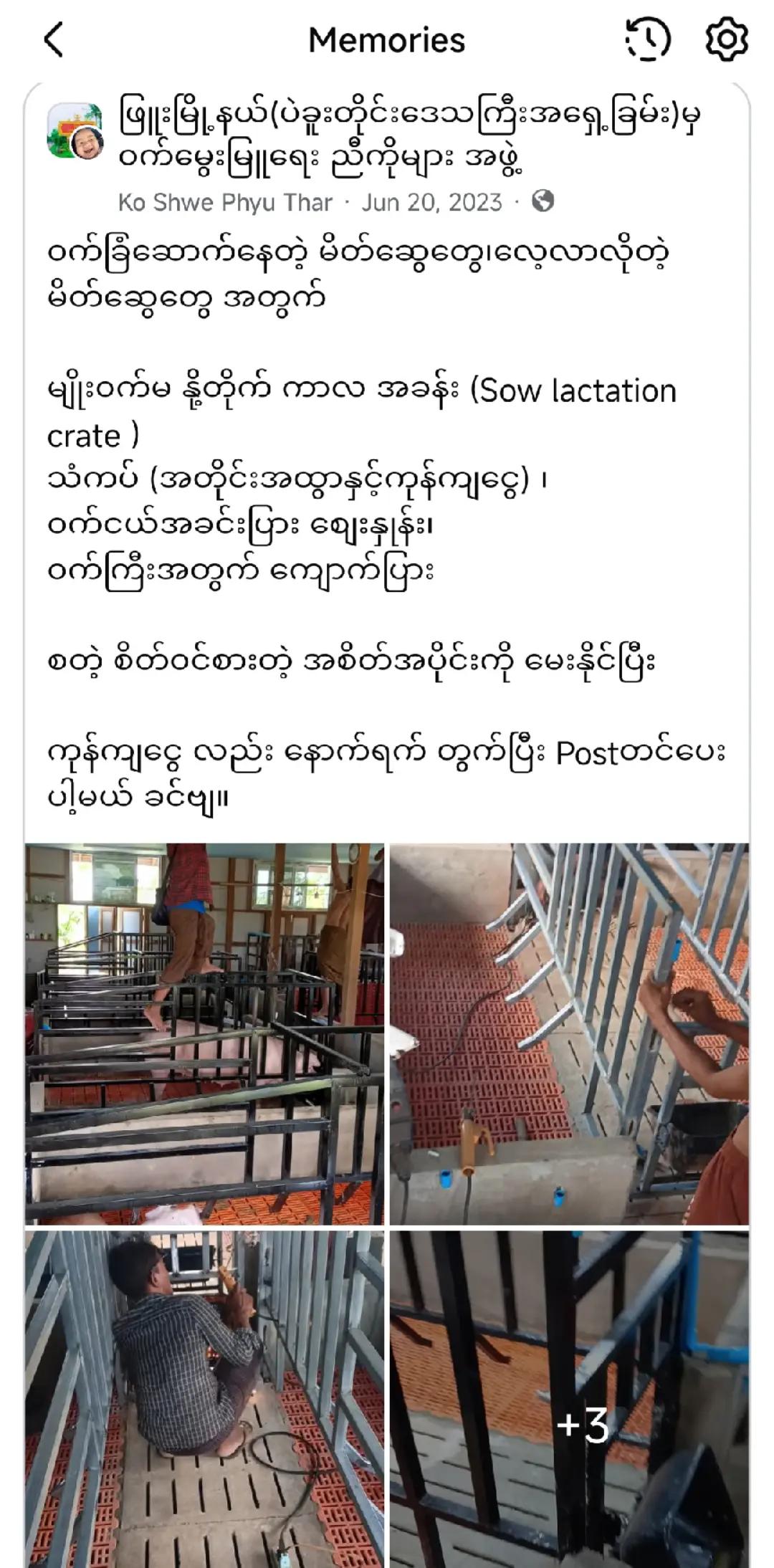 @"ရွှေဖြူးသား"၀က်မွေးမြူရေးခြံ