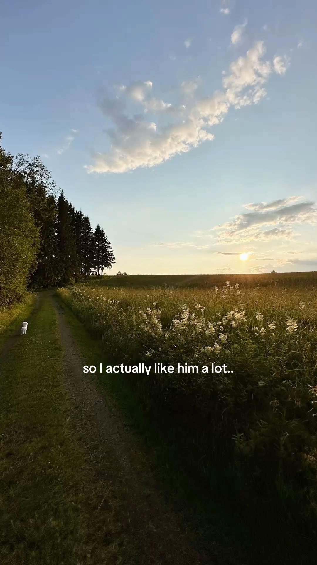 @๏ธ