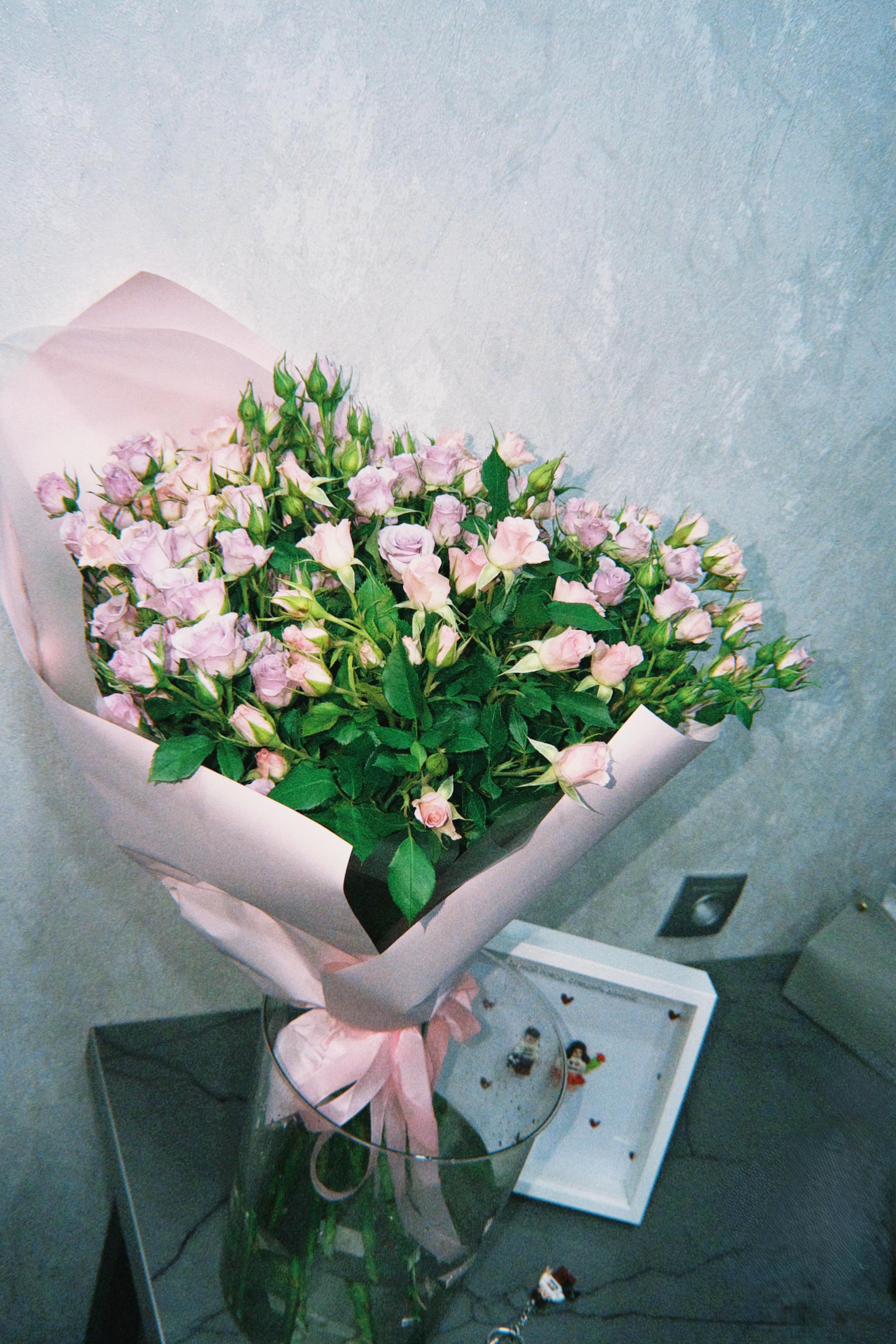 @Аничка