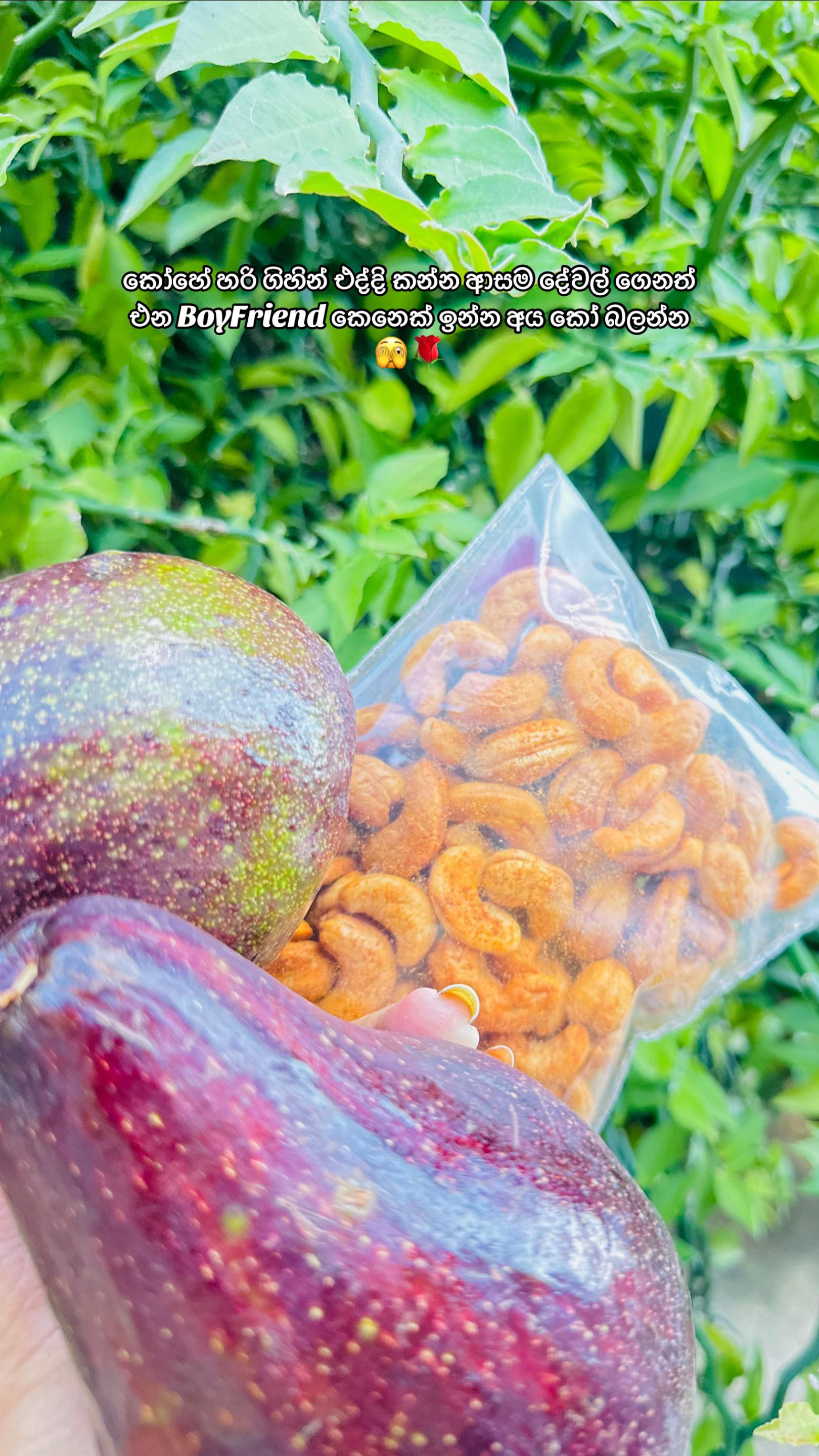 @Vish_Sasi💍🤍