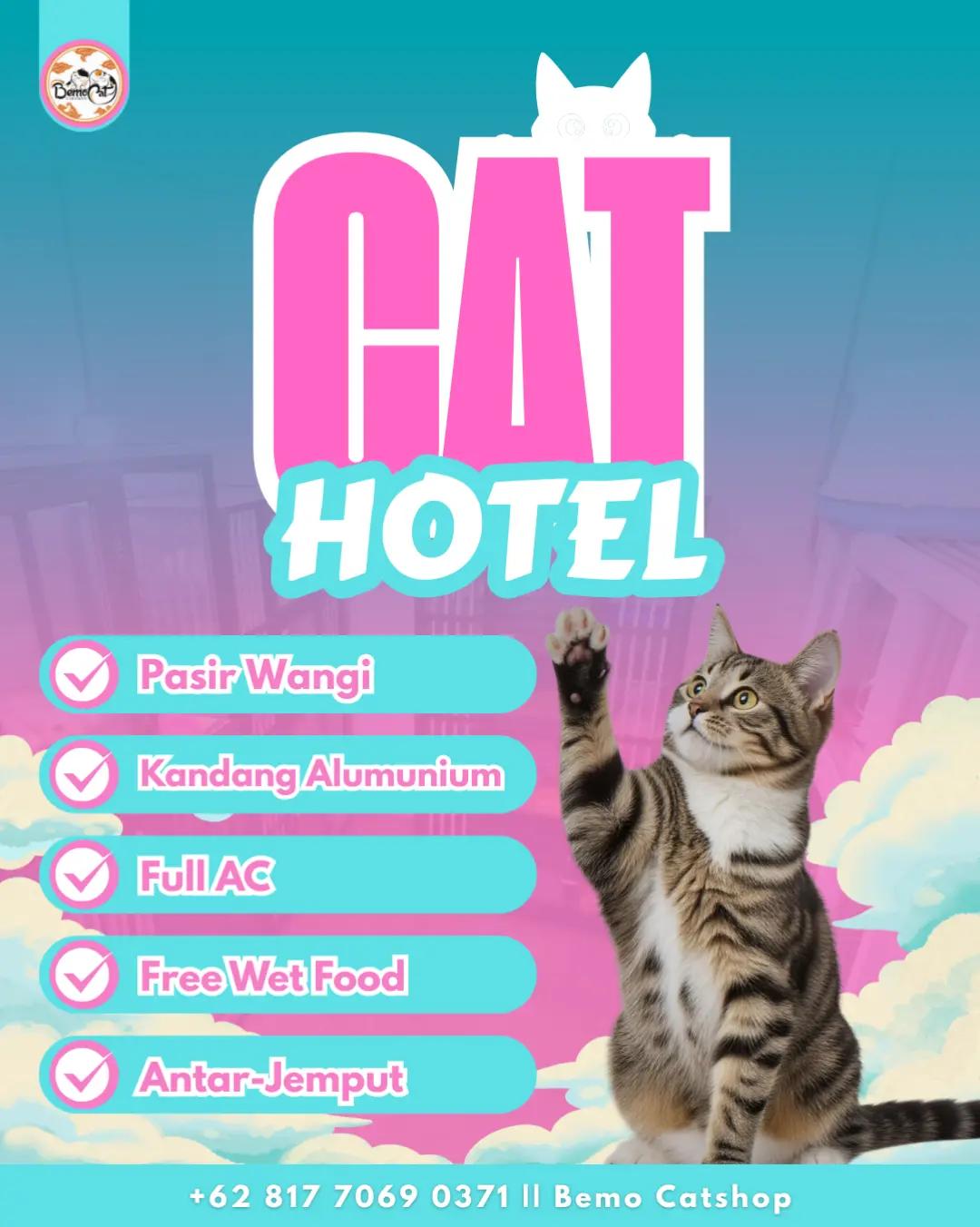 @Bemo Catshop