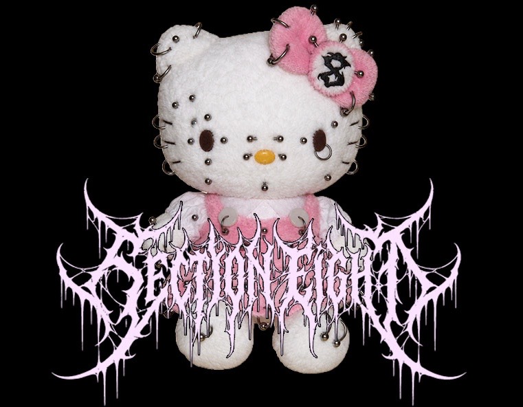 @section8