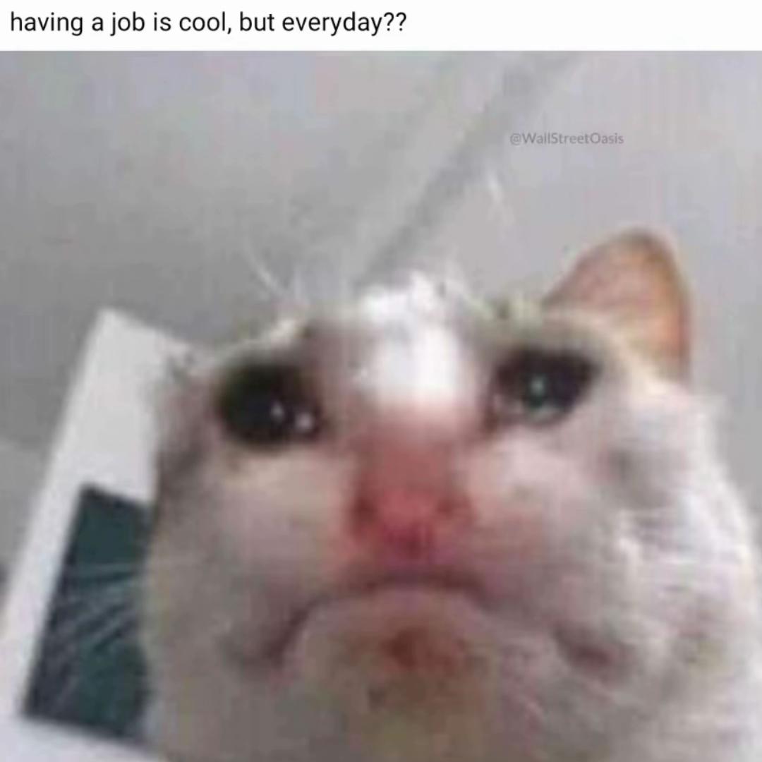 @Mouaz