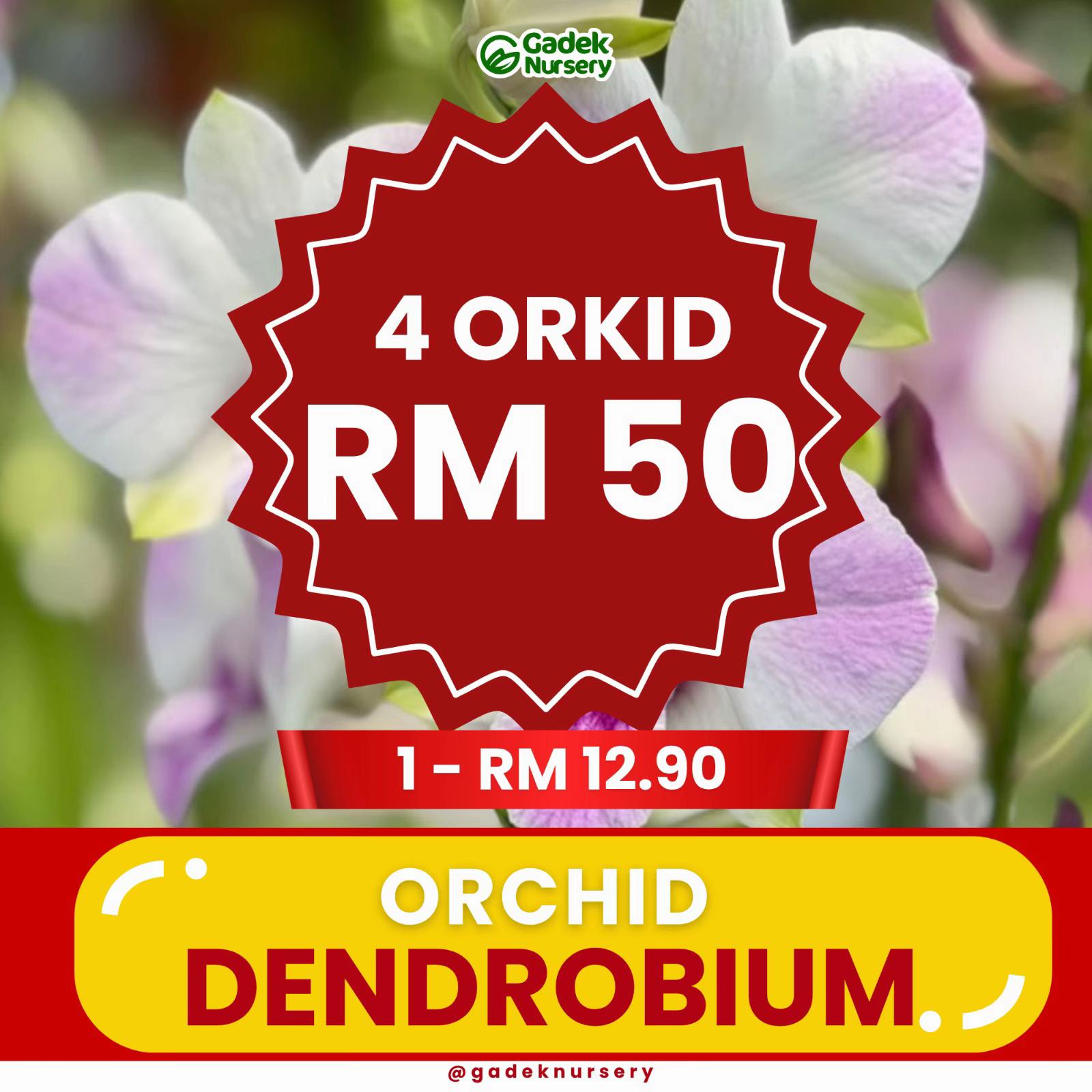 @Gadek Nursery