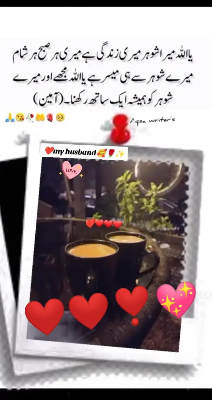 @sameer ki hun yarr ❣️❣️