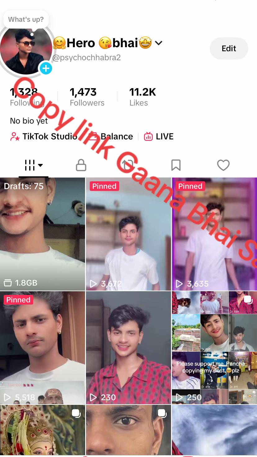 @sundarpaswan100