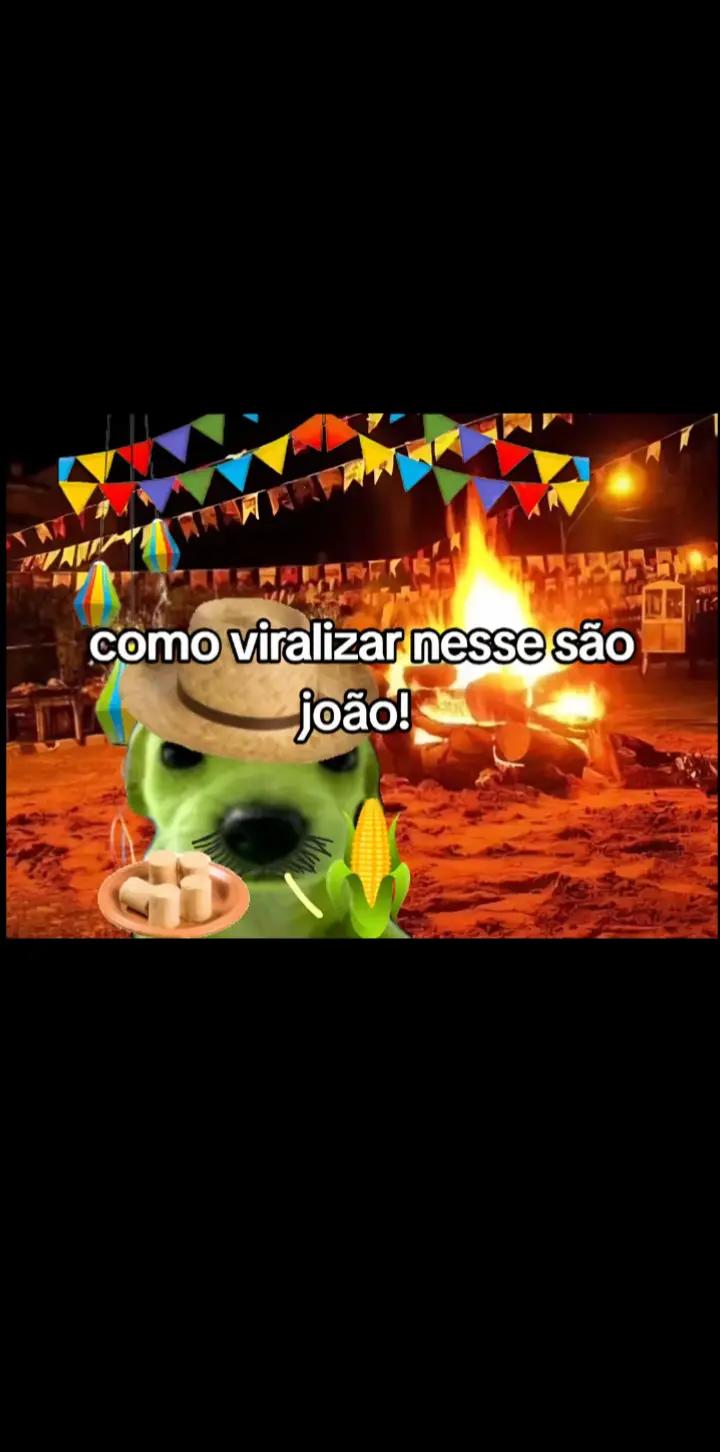 @GUI💤