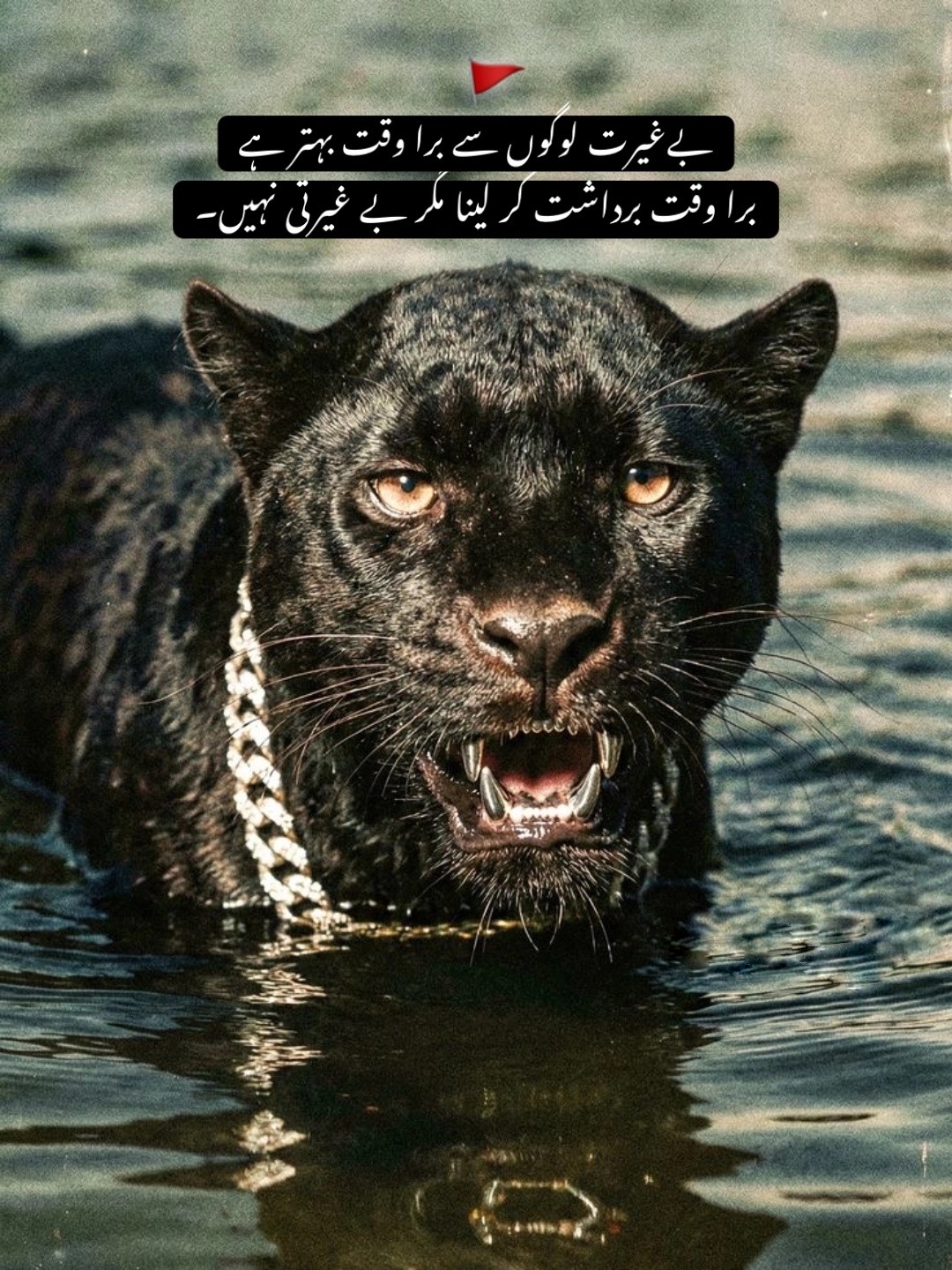 @ذادی (منڈی آلہ) 🥂🖤