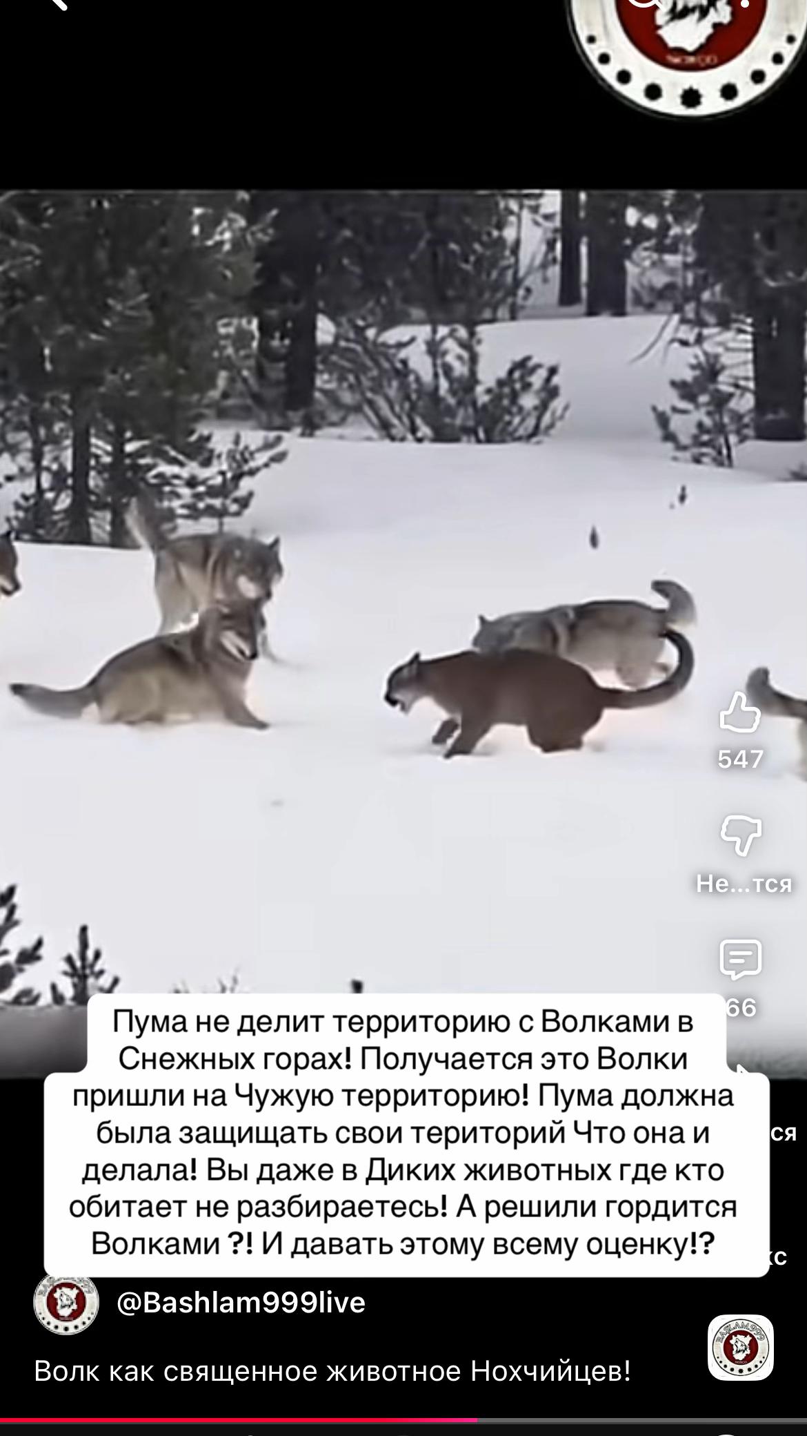 @Калмыкова 👑