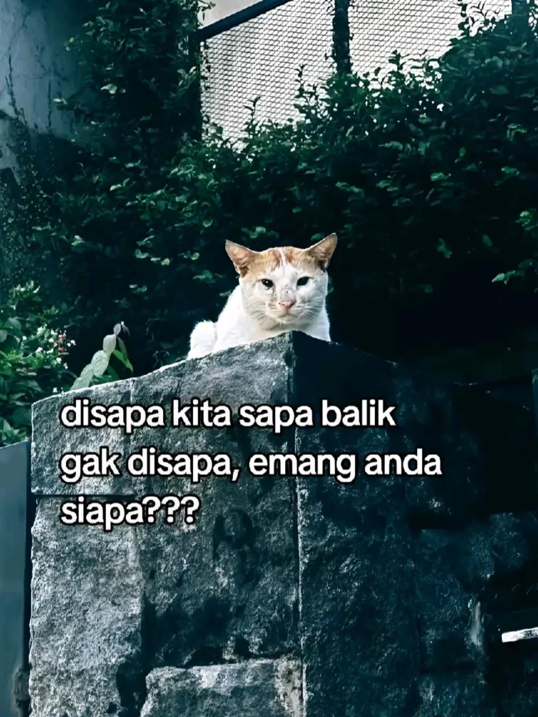 @trapratama72