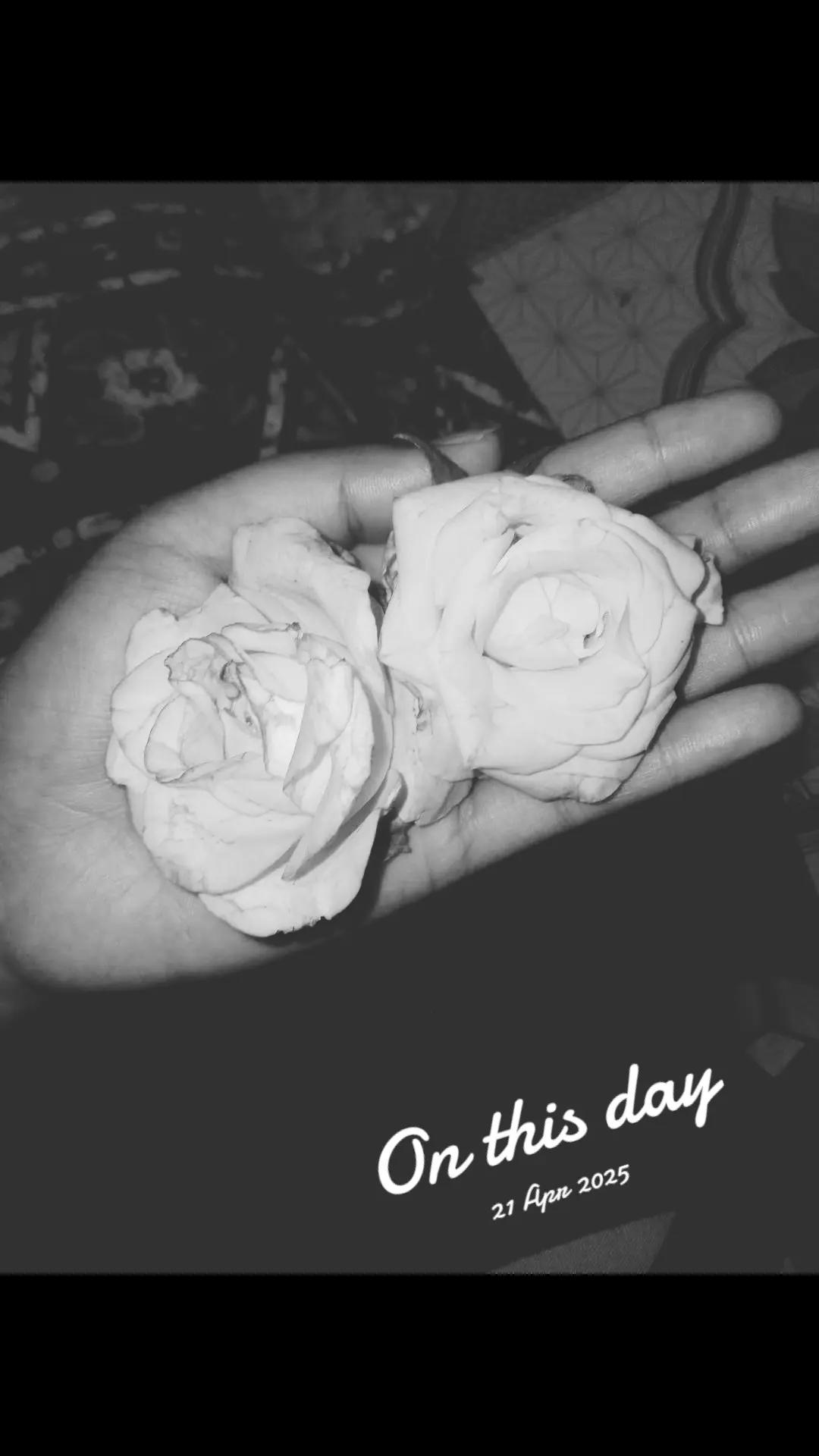 @Misti Rahman