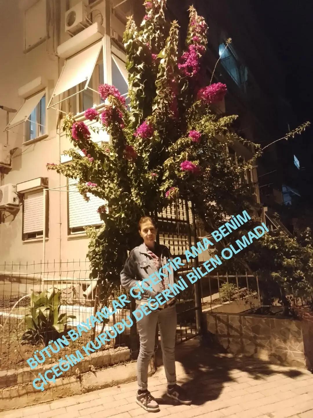 @Beyazgül