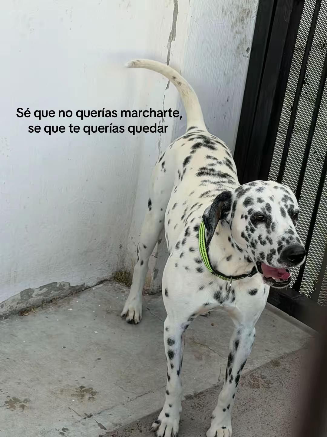 @Bryancito