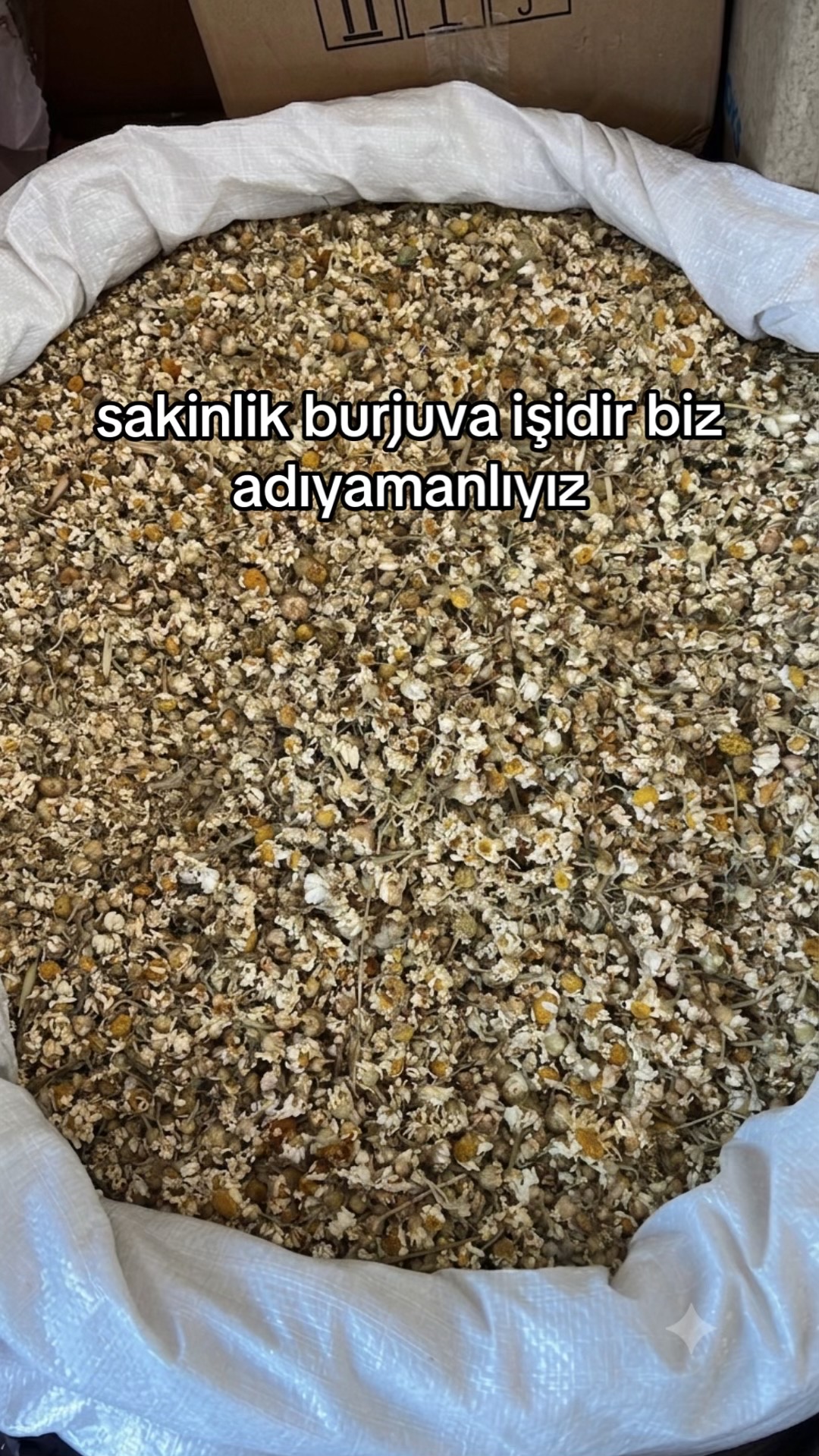 @userrs397