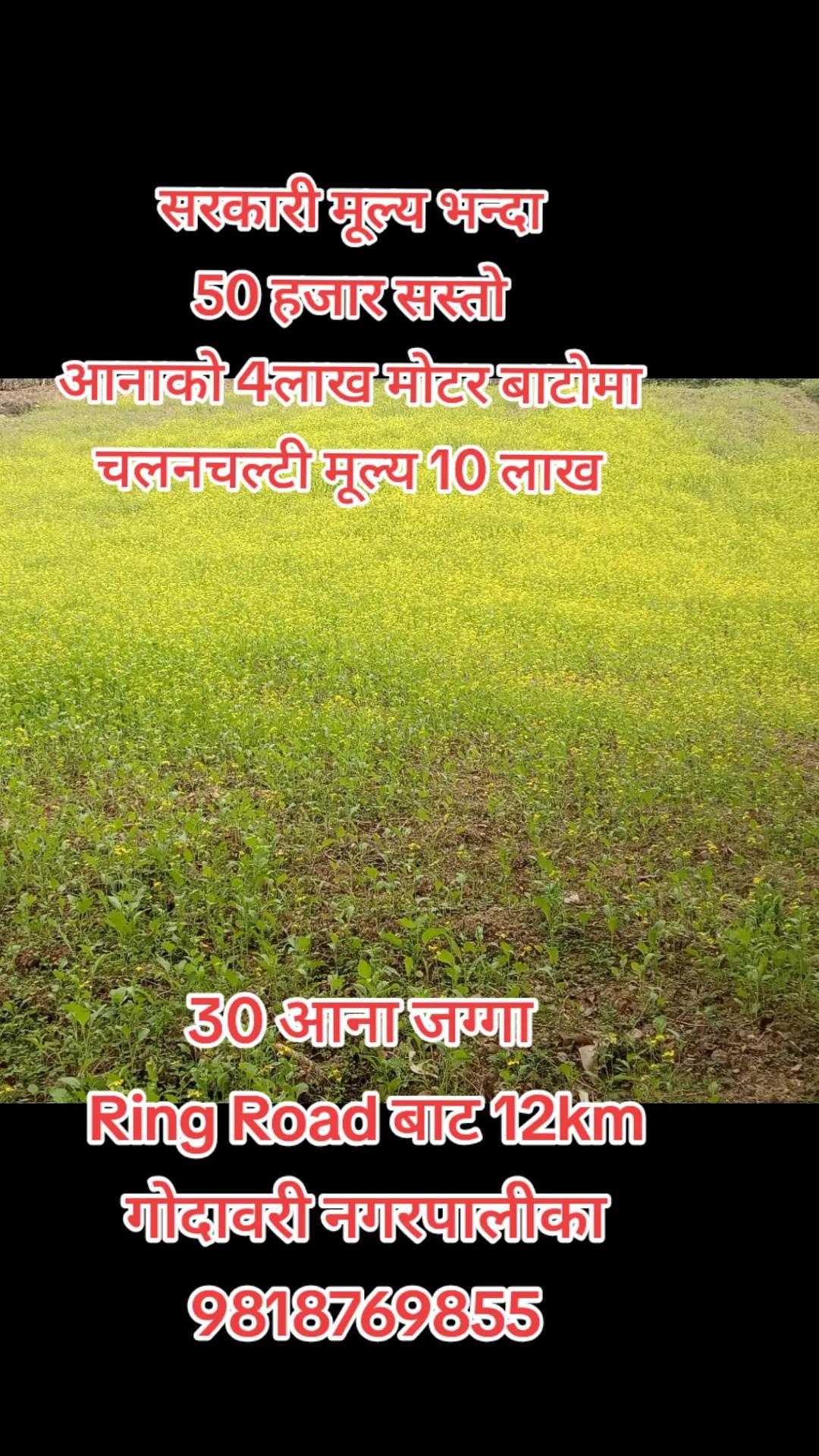 @9818769855