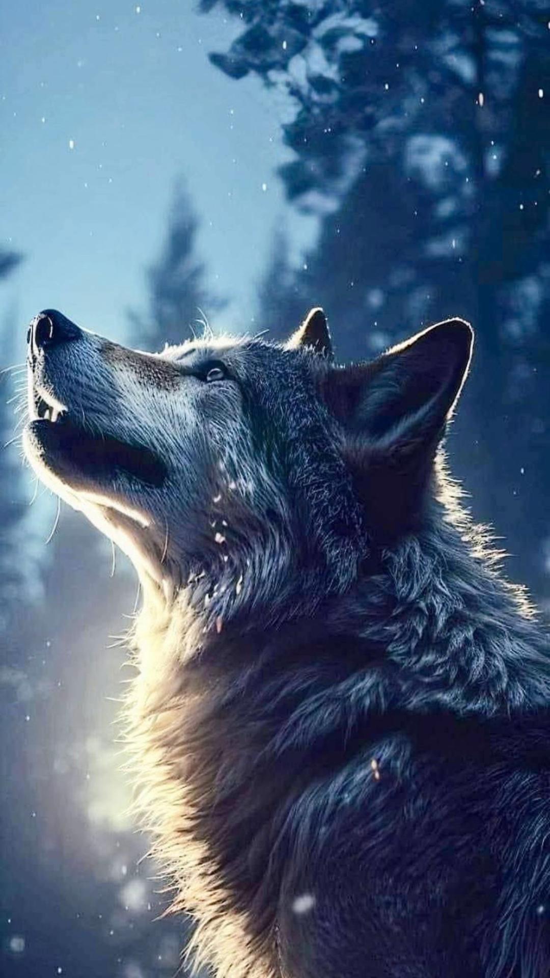 @darkalphawolf