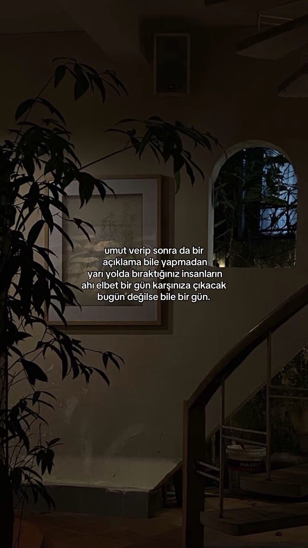 @✨