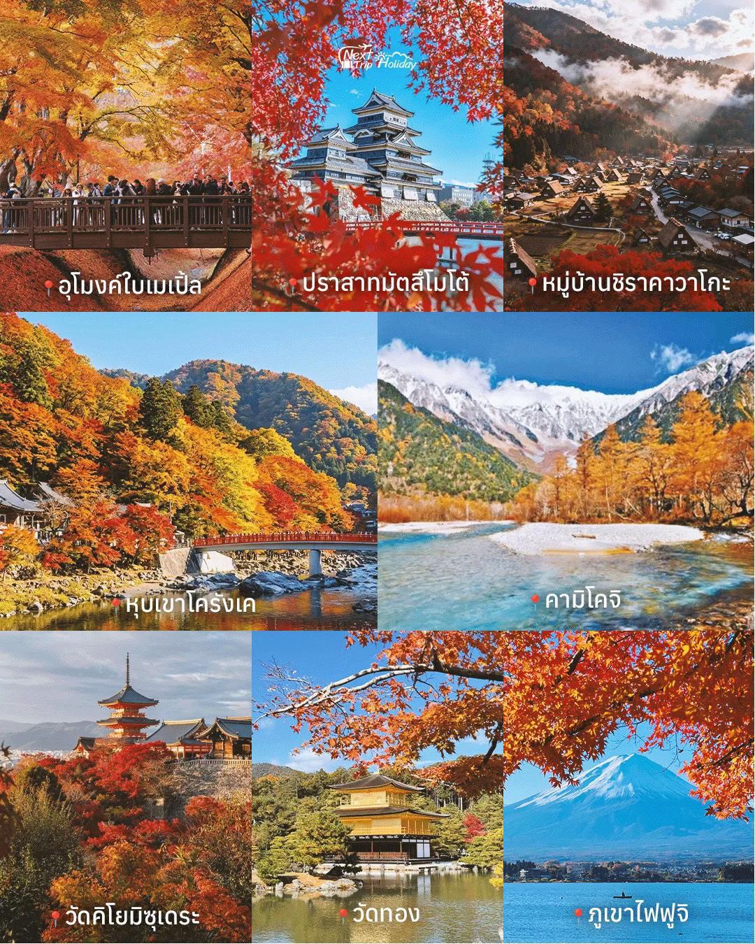 @Next Trip Holiday