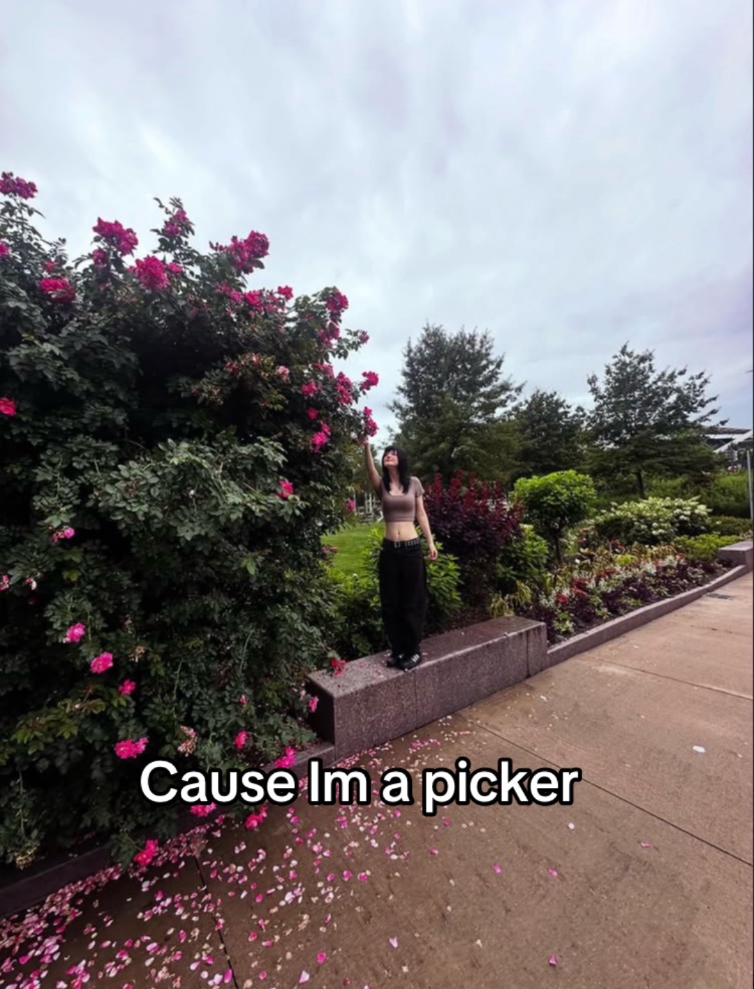 @Lily🕷️🕸️