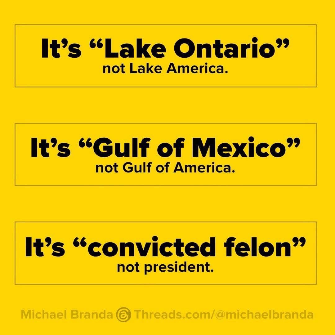 @Lisa-Feminist Lawyer 🆘🇺🇸