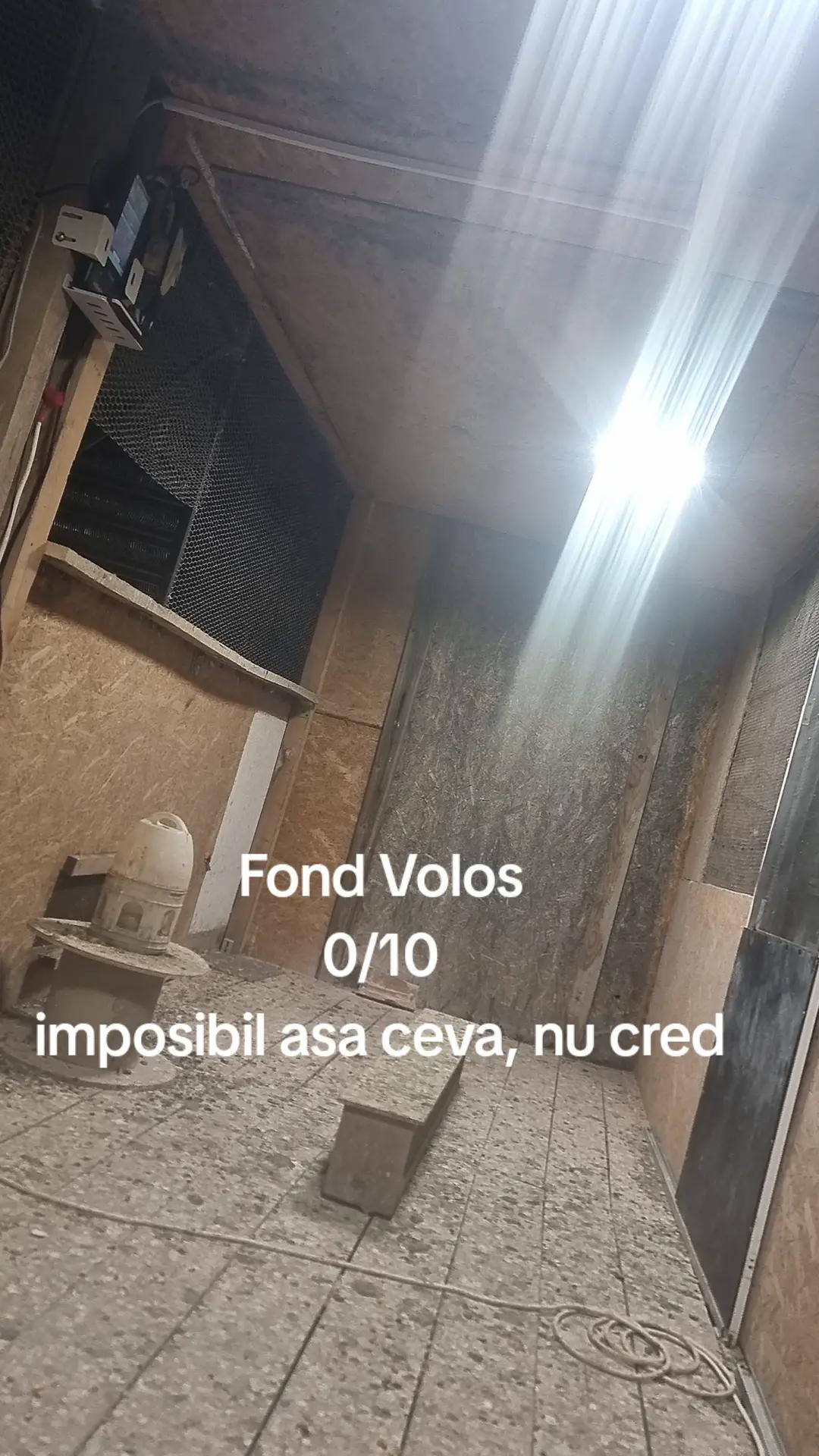 @Floryn Ionescu