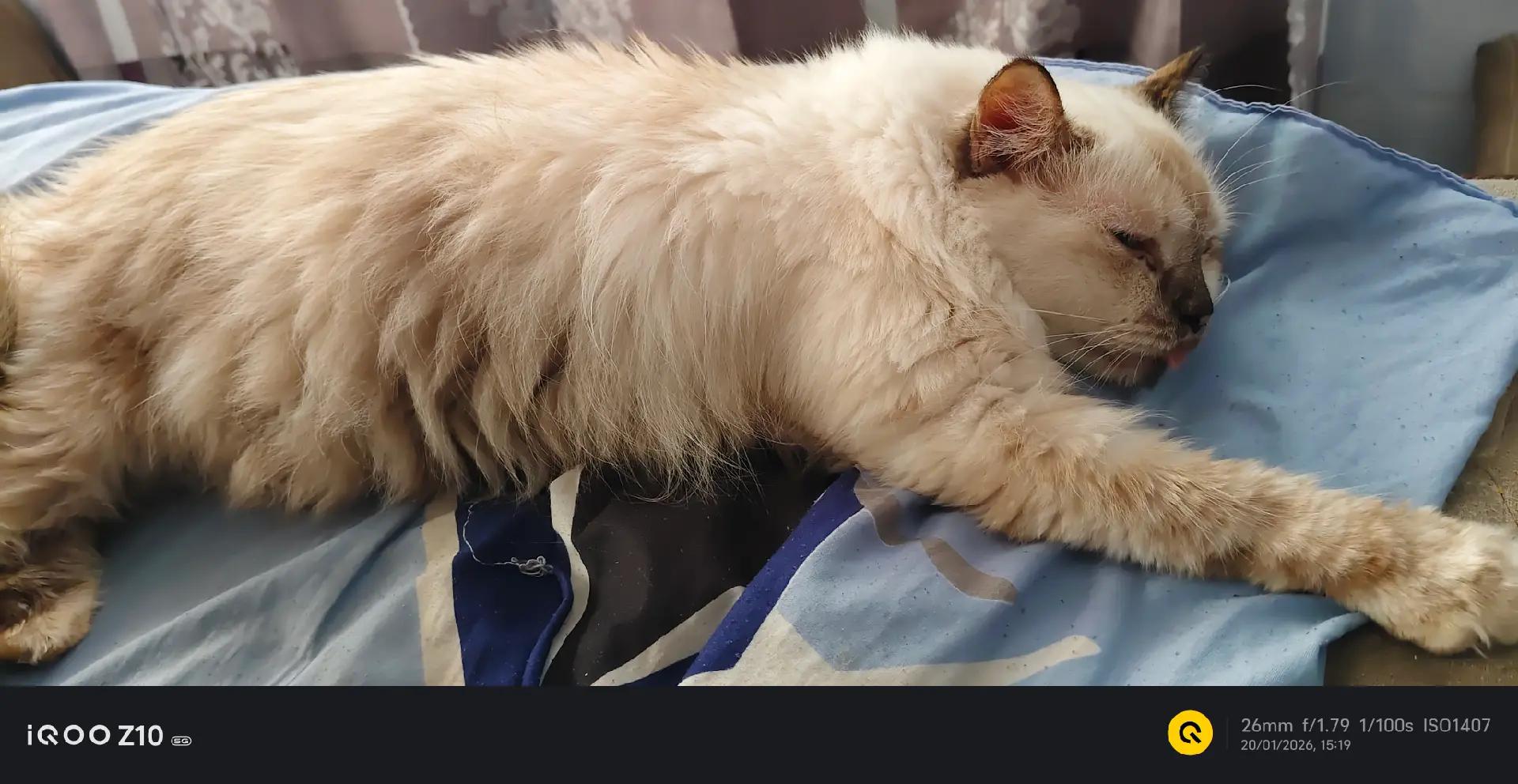 @Mohd Fitri95
