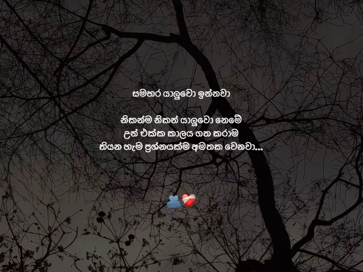 @ශානි | SHANI | ஷானீ_👀💗🌎"