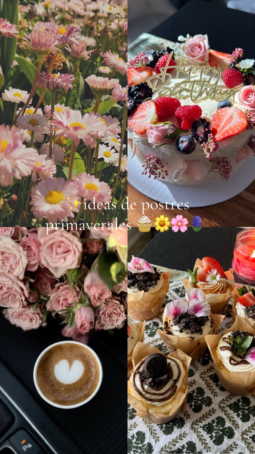 @Susie 💞🫶🏻