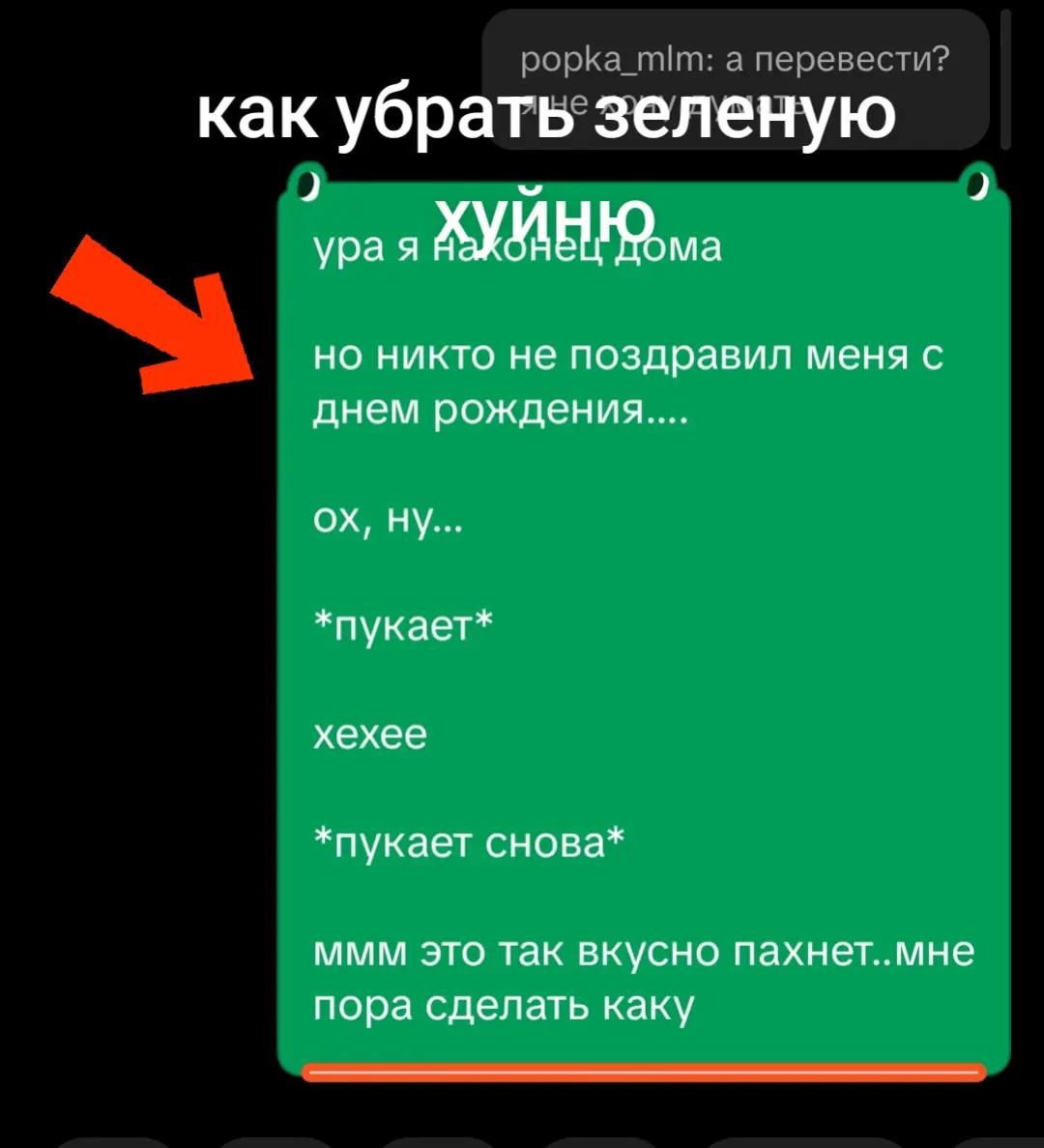 @sir kochka