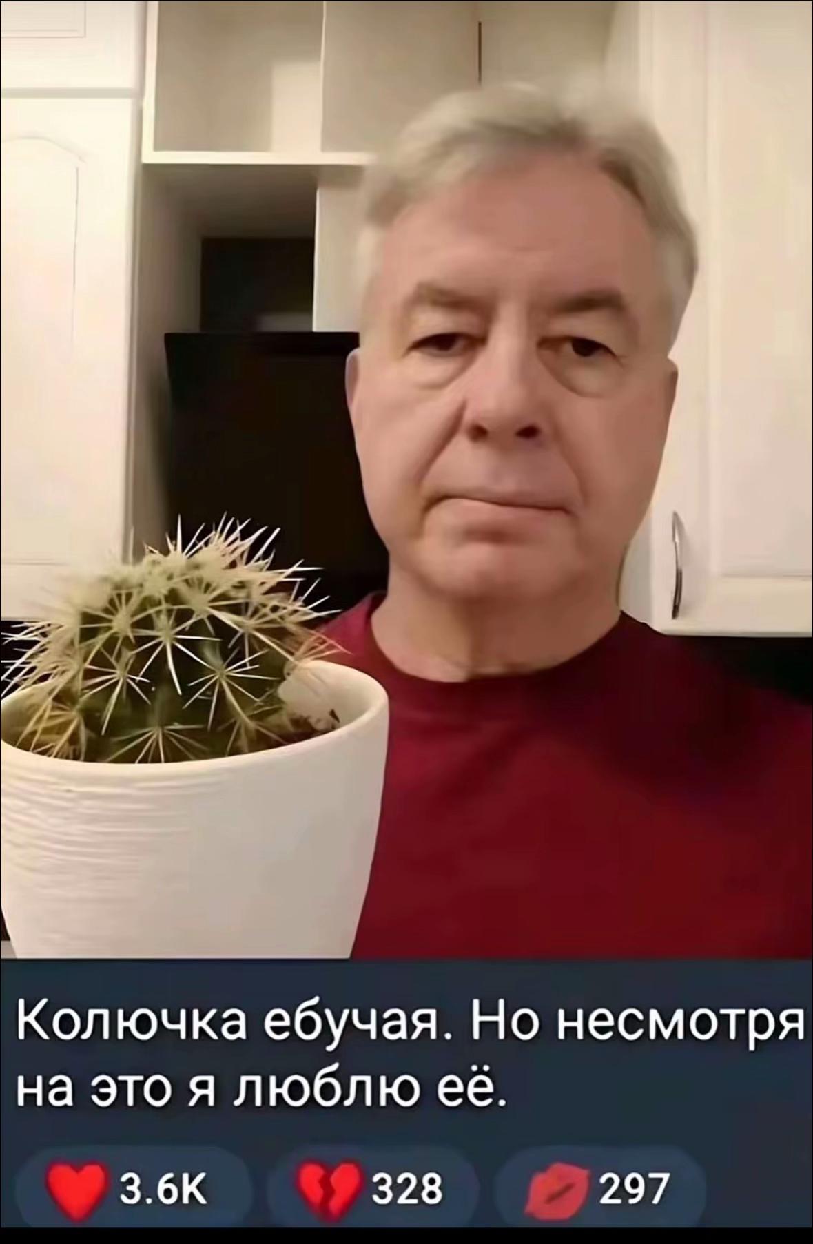 @ТГК:Горошек