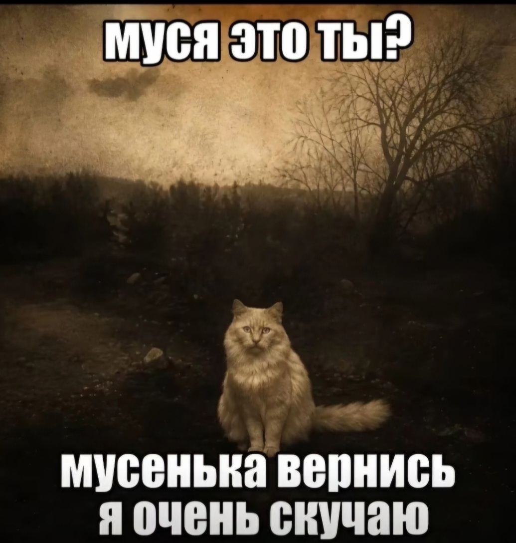 @YT Ra7u1