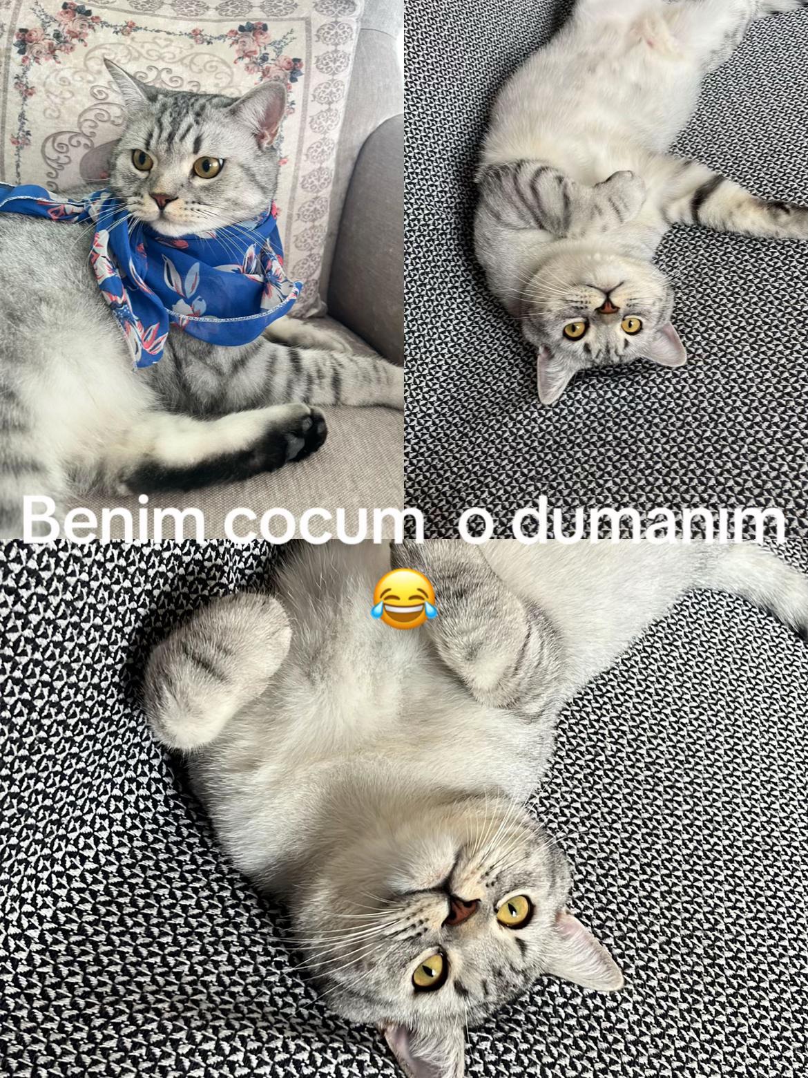 @✋ATARLI_HATUN_20