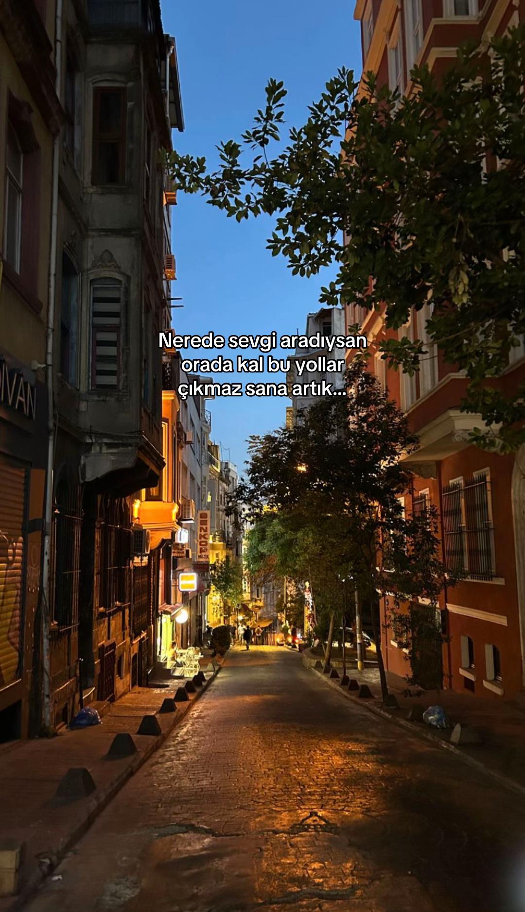 @seviyorgibiydin24
