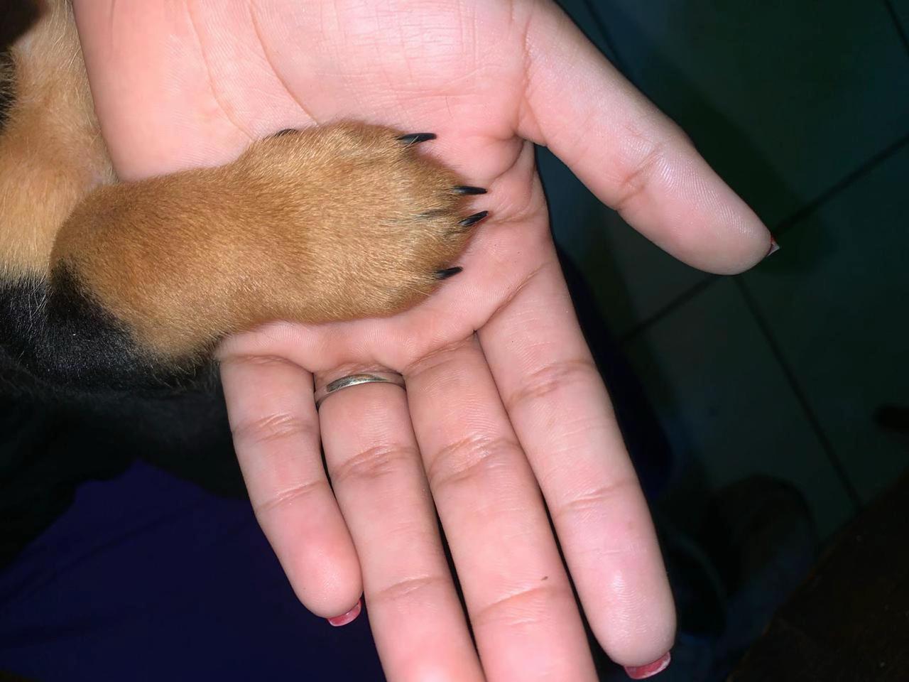 @Sofía 🤍