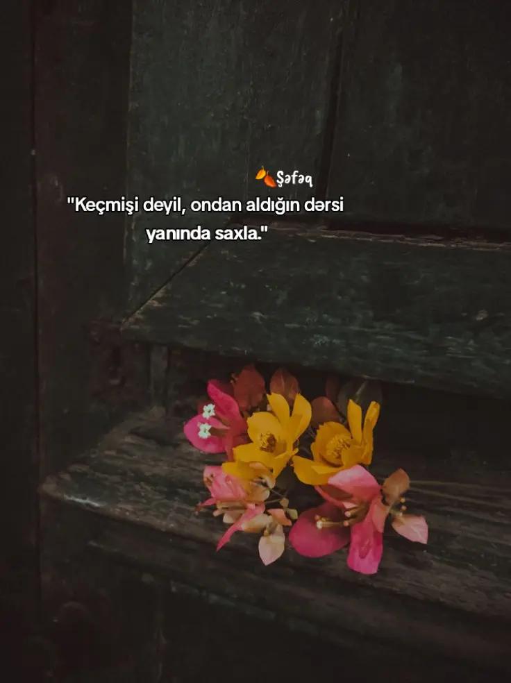 @🍂ŞƏFƏQ🍂