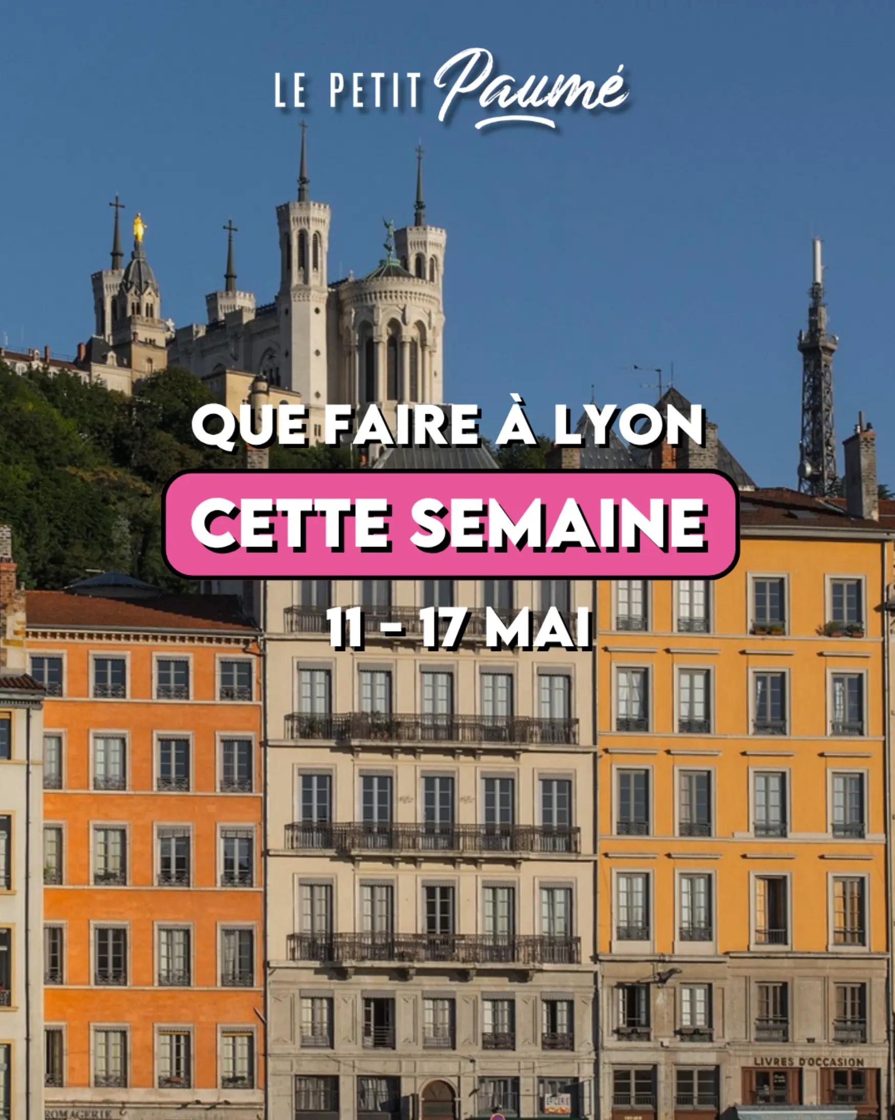 @Le Petit Paumé