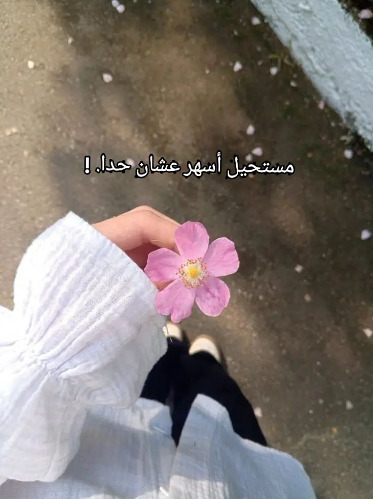 @المصممه ميار 🌼