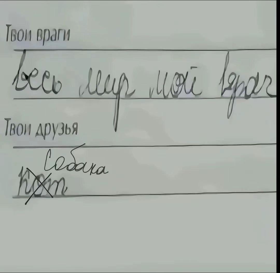 @Kamazova