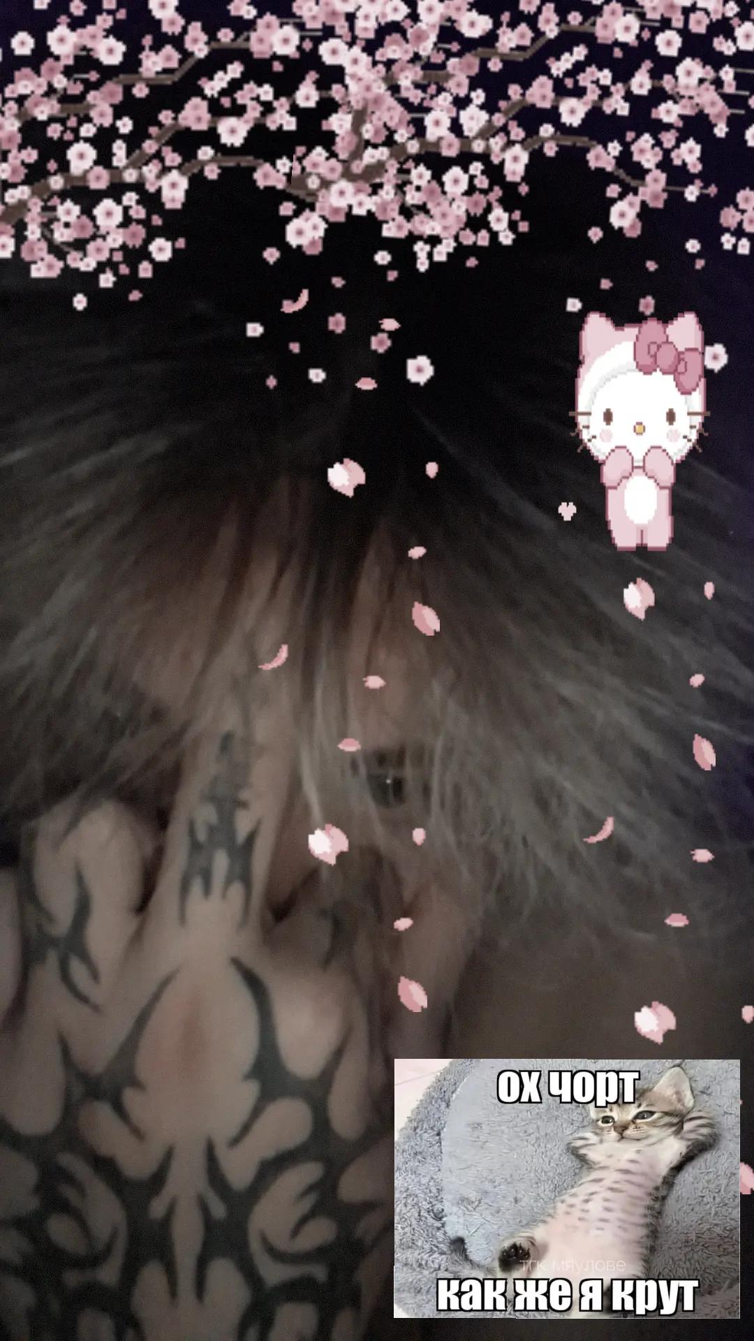 @Тгк:𝐌𝐞𝐭𝐢𝐱_𝐡𝐲𝐩𝐞𝐫