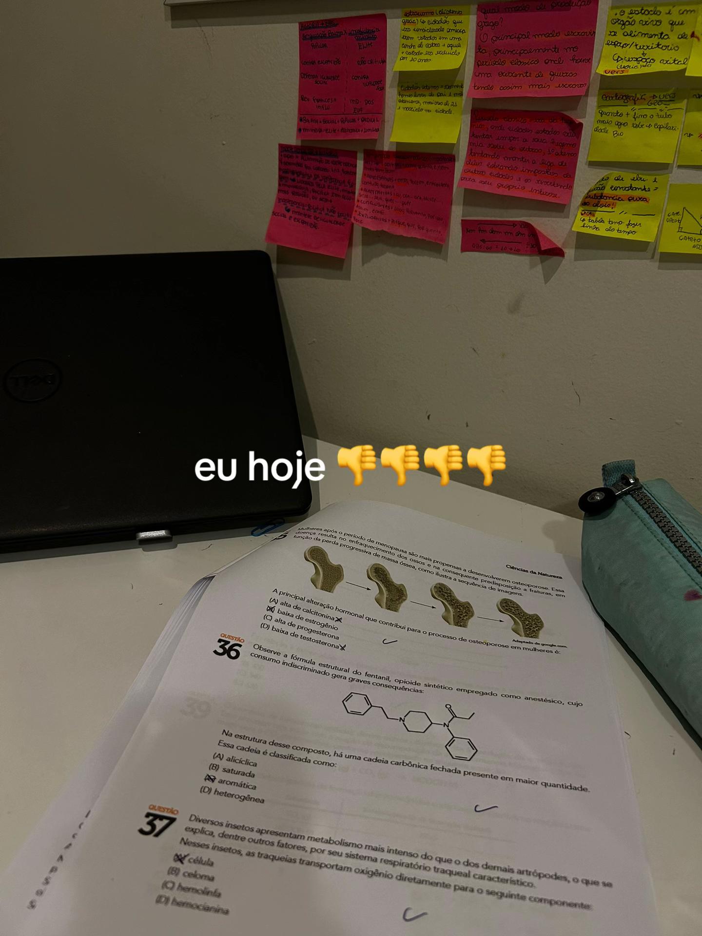 @Luu paes