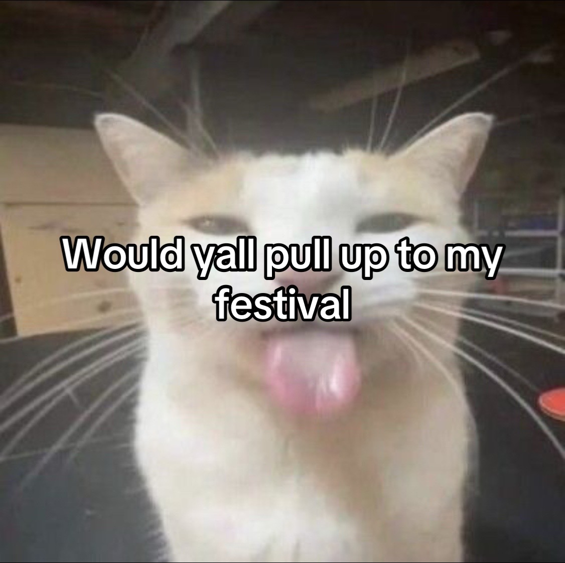 @⚀ ⚁ ⚂ ⚃ ⚄ ⚅