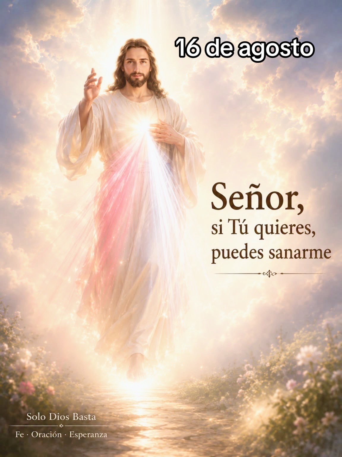 @8luisplaza8