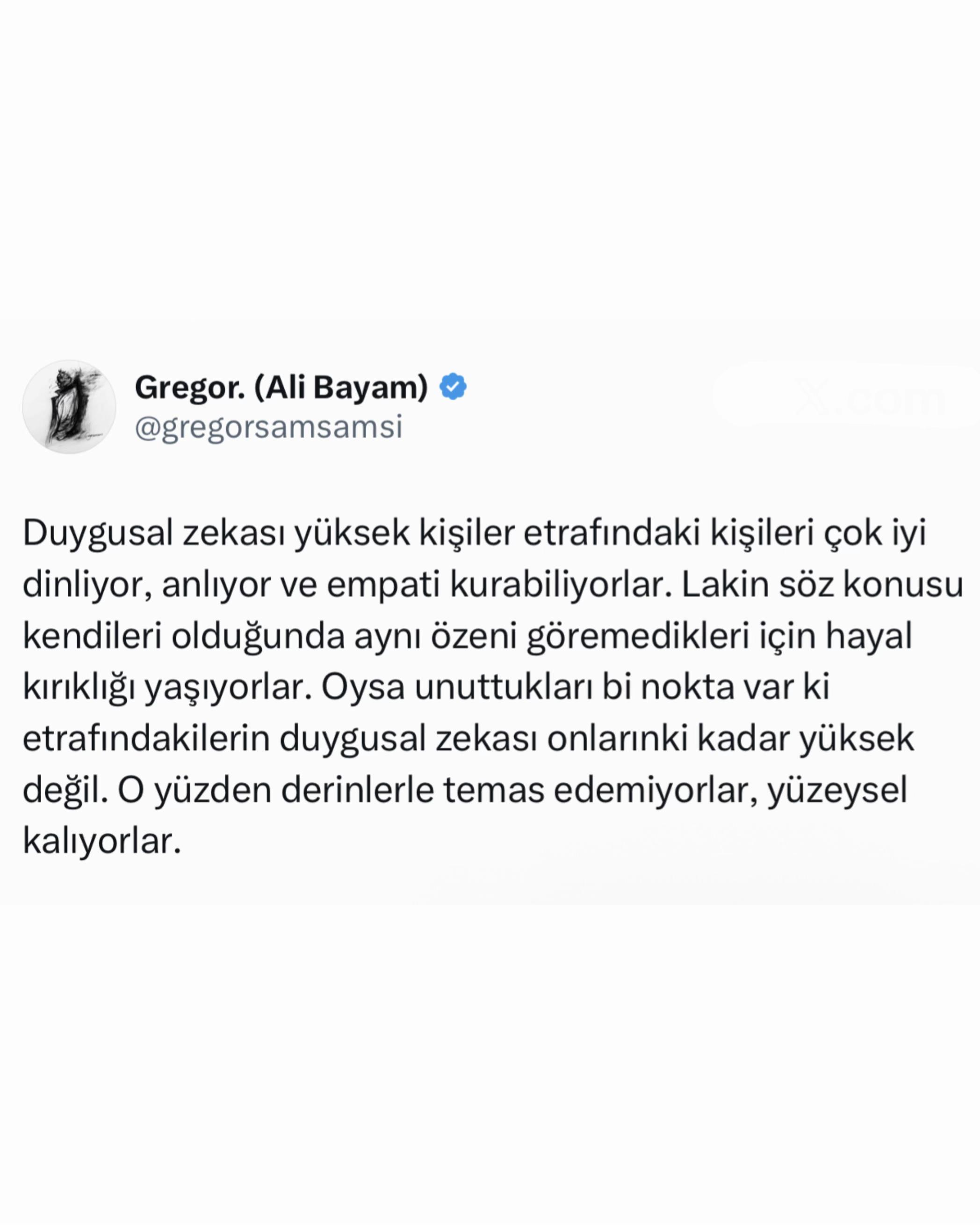 @Ali Bayam