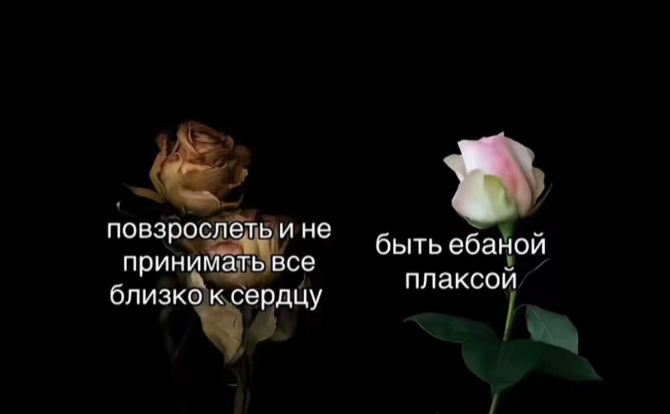 @seewrell💍💗