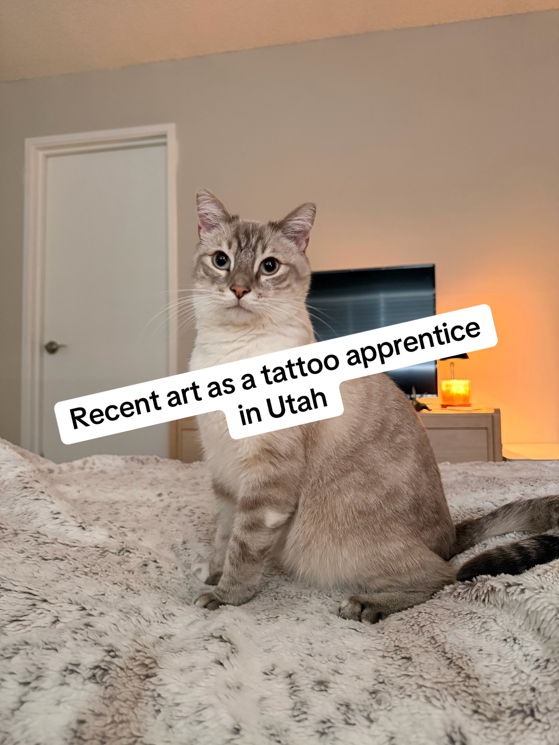 @Orion-Tattoo Apprentice