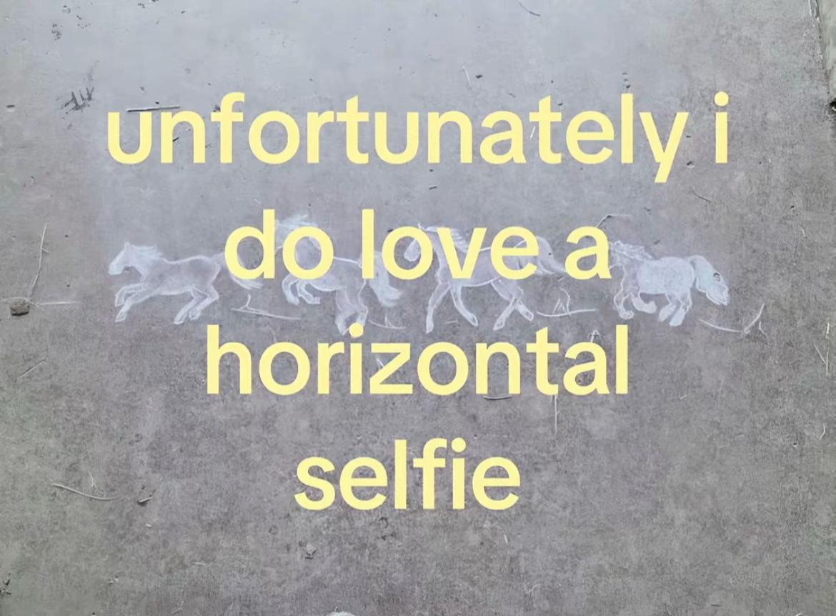 @King Salomon
