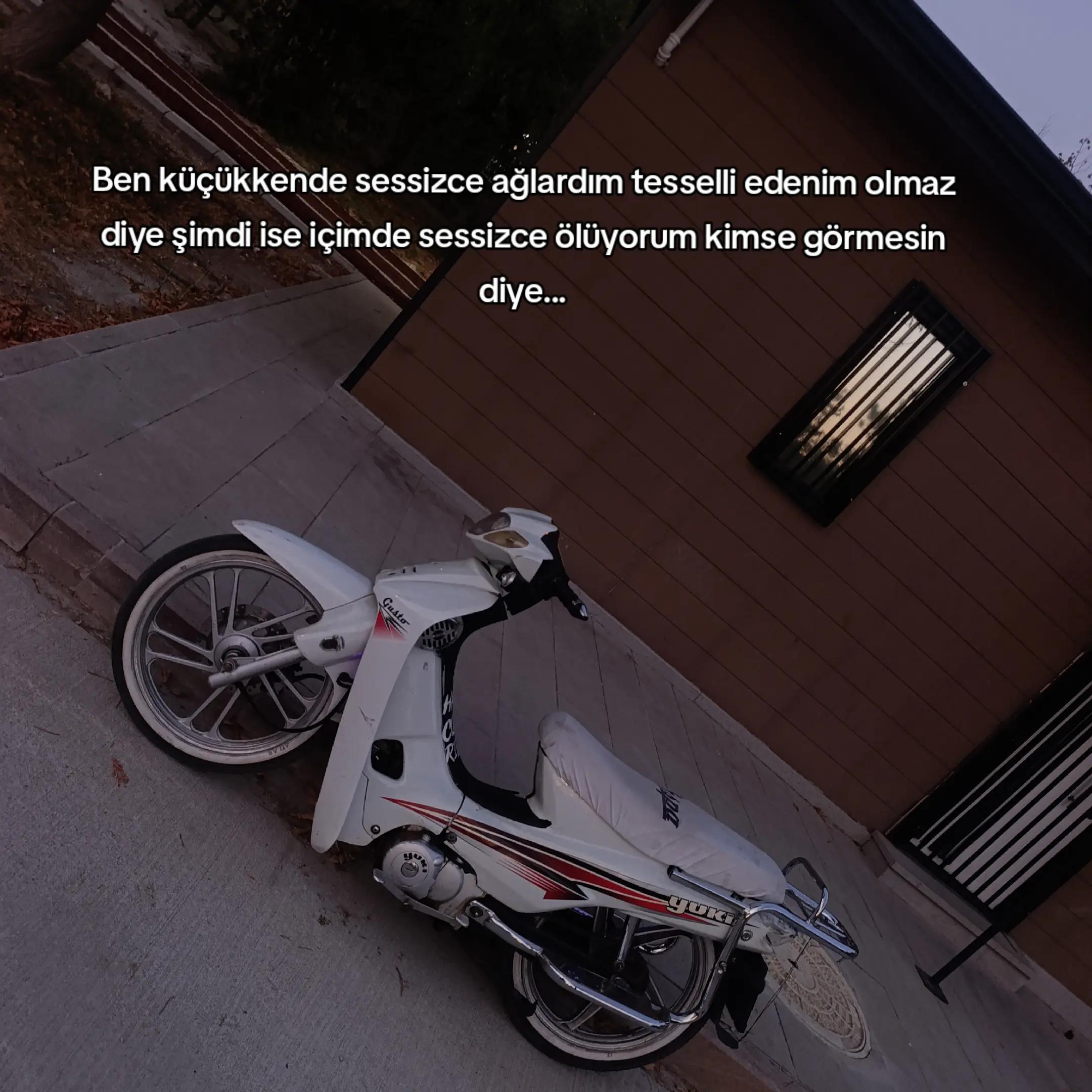 @Haydar uzun✍️