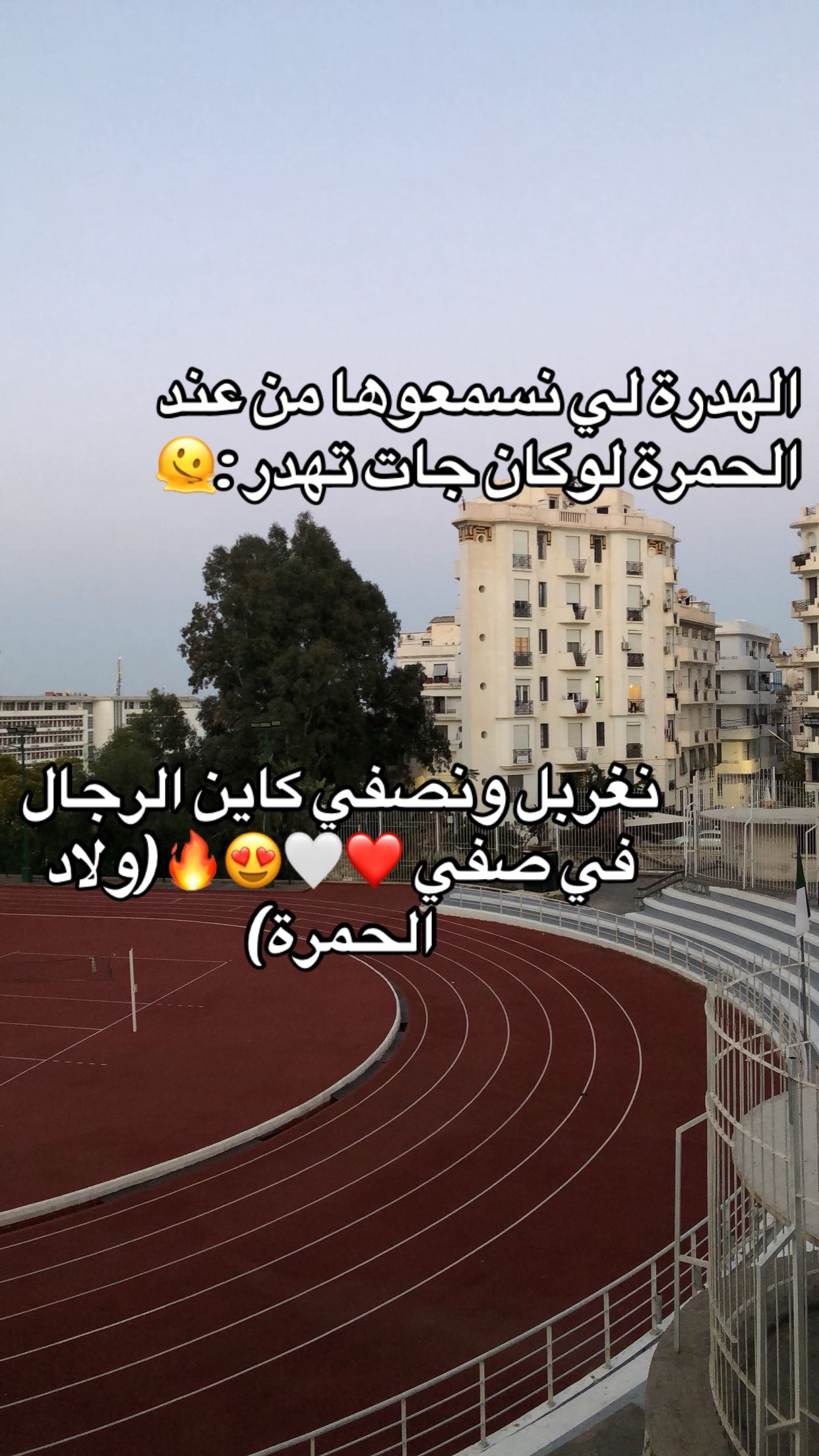@Anfel🪩