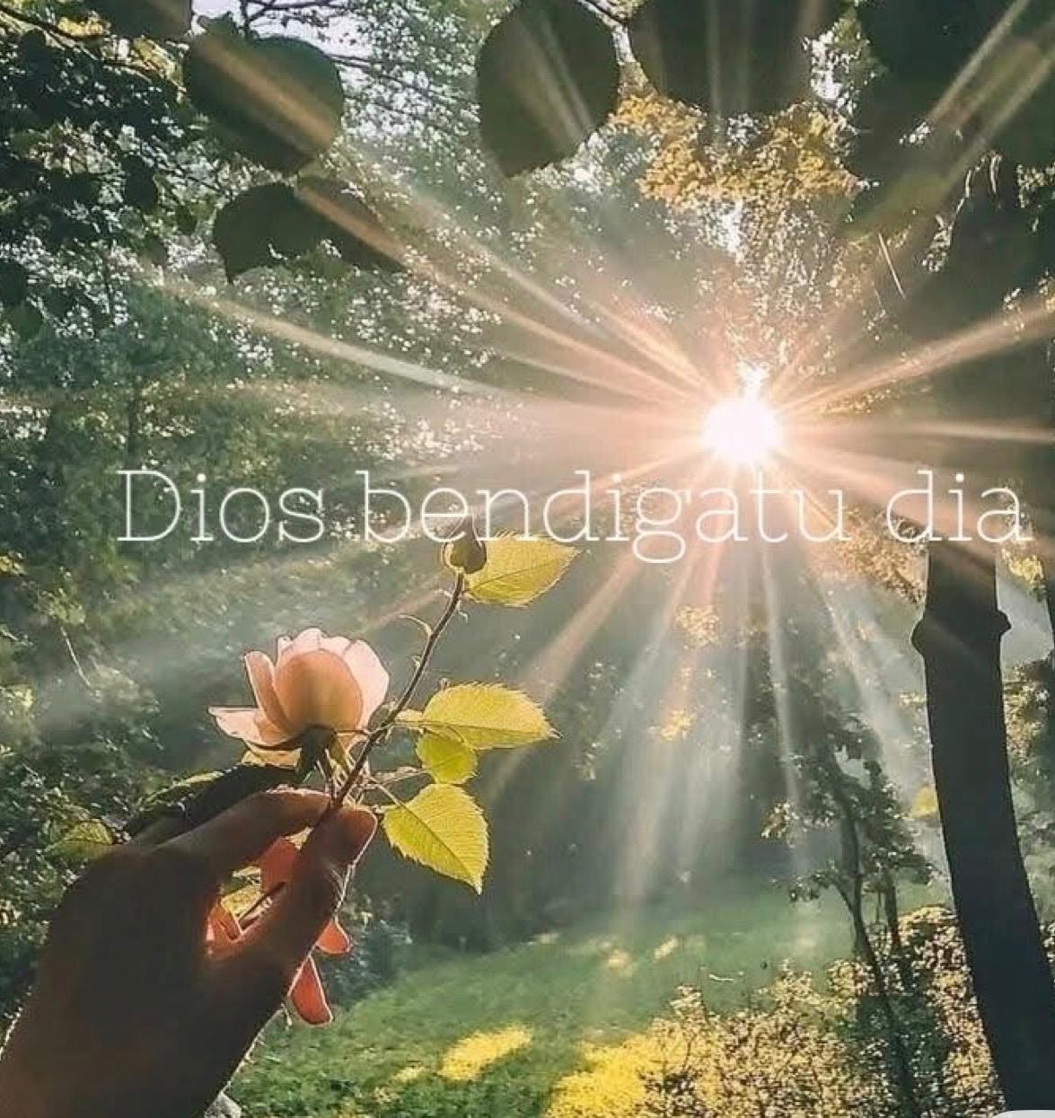 @Bella Durmiente hasta la muert